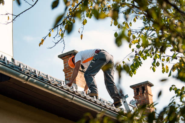 Best Roof Gutter Cleaning  in Copperopolis, CA
